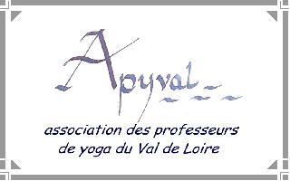 logo apyval