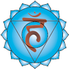 ViÅ›uddha