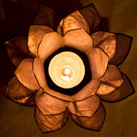 Lotus-bougie Lotus-bougie