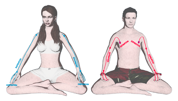 La posture d'assise posture assise
