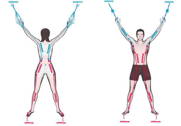La posture d'assise Le grand Geste, la Grande respiration